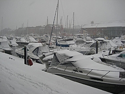 How cold is it??-img_1891.jpg
