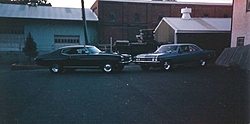 Misc. pics-chevelles.jpg