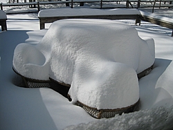 Why!!!-img_0379.jpg