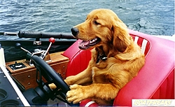 AT pictures..Update-rickdog.jpg