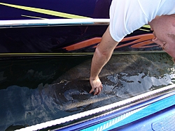 Random Active Thunder pic thread:-016-%5B1024x768%5D.jpg