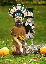 Apache pics!!!!!-thanksgiving.jpeg