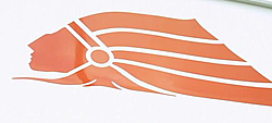 which logo for 41?-camera004.jpg