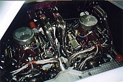 Looking for a 41 help-bullets.jpg