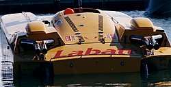 Apache Cats-labatt-stern.jpg