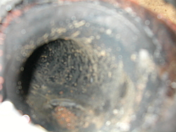 Houston we have a problem over !!!!!-dscn3530.jpg