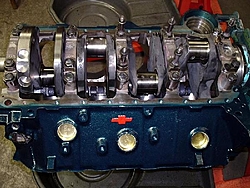 Staggered vs side by side-600_geronimo_17_.jpg