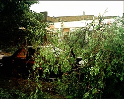 Apache Power-maer009.jpg