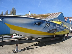 Hammerhead??-hammerhead-1.jpg