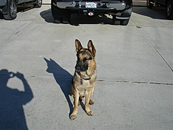 warpath-max-riggs.jpg