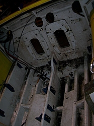 Hammerhead??-hammerhead-3.jpg