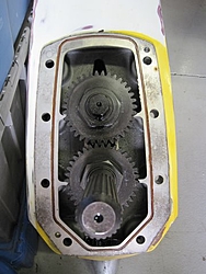 Hammerhead??-hammer-head-5.jpg