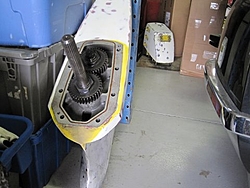 Hammerhead??-hammer-head-6.jpg
