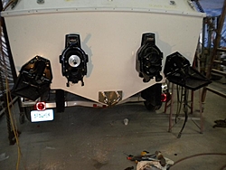 Hammerhead??-dscn0653.jpg