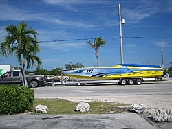 Hammerhead??-hammerhead-1.jpg