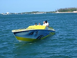 Hammerhead??-hammerhead-3.jpg