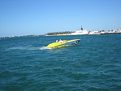 Hammerhead??-hammerhead-1.jpg