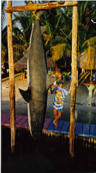 APACHE at it again!!!-lucy-cartagena.jpg