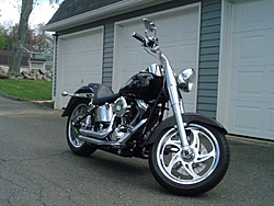 baja's and harleys-fat-boy4.jpg