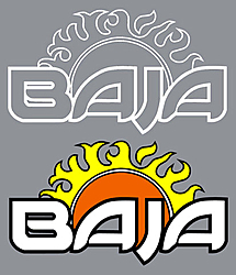 New Baja Decals ??-classic-baja-color-white-sm.jpg