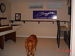 My new Baja sign in my Basement-mvc-002f.jpg