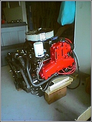 Winter projects for the boat, lets see em'-motor-done-2.jpg