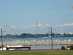 Fox Chapel Lake Erie this weekend?-split-decision-8-16-08-223.jpg