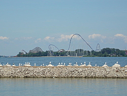 Fox Chapel Lake Erie this weekend?-split-decision-8-16-08-235.jpg