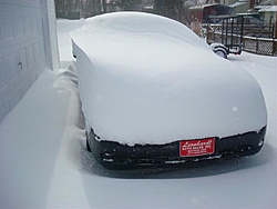 How much snow did you get-dsc03109-medium-.jpg