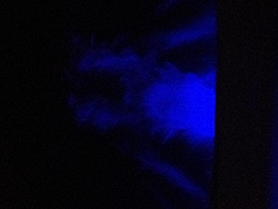 Transom Lights-transom-2.jpg