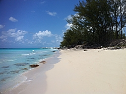 Caribbean Scenery and Fun!-img_2856.jpg