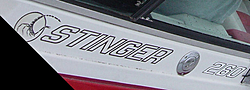 Stinger Logo Help !!!!!-stinger-logo.jpg