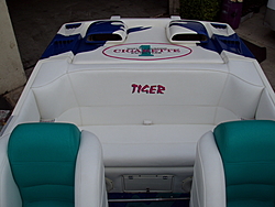 42 Tiger-1999-tiger.jpg