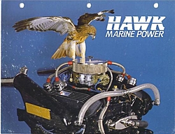 hawk logo-hawkresized.jpg