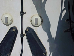 What are these things??-dsc00041.jpg