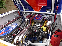 Staggered Gladiator-25259_8.jpg