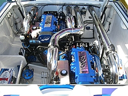 Staggered Gladiator-22014_7.jpg