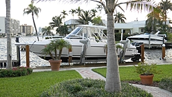 South Florida Photos-Christmas/New Years-026.jpg