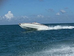 Zero and the Pack - Cigs in the Keys 2015-image.jpg