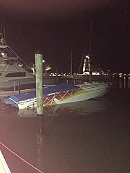 Zero and the Pack - Cigs in the Keys 2015-image.jpg