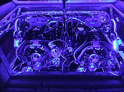 Bullet Bilge Lighting-image.jpg