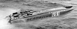 Cougar 41'-seahawk-us1.jpg