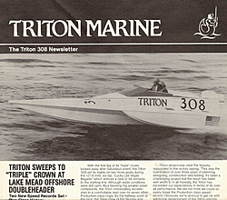 Triton 308-trition-marine-h2o.jpg