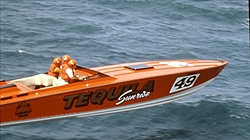 36' Cig Tequila Sunrise-tequila-sunrise.jpg