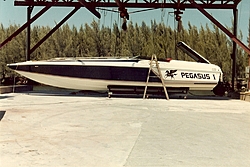 Tommy Adams Signature boats-pegasus.jpg