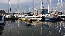 Saw these beauties at the Marina today-20140928_171911.jpg