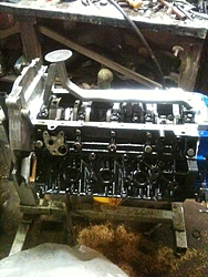 DIY - Duramax Marinisation-270206_224901444215680_3575425_n.jpg