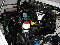 Blown 496 Mag HO 2006 26zx-2a496wc1medlksd.jpg