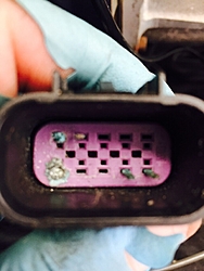 Engine Side Smartcraft Plugs Needed-image.jpg
