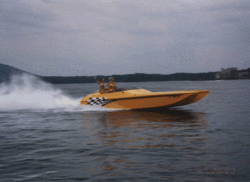 250 pics-yellowcat7.gif